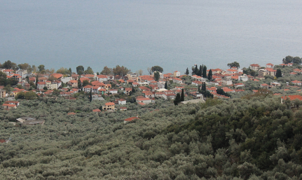 A coastal village amidst the olive trees